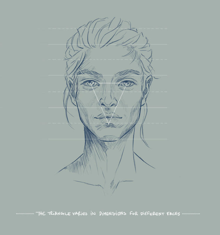 Anatomy of the Human Face by NykolaiAleksander on DeviantArt