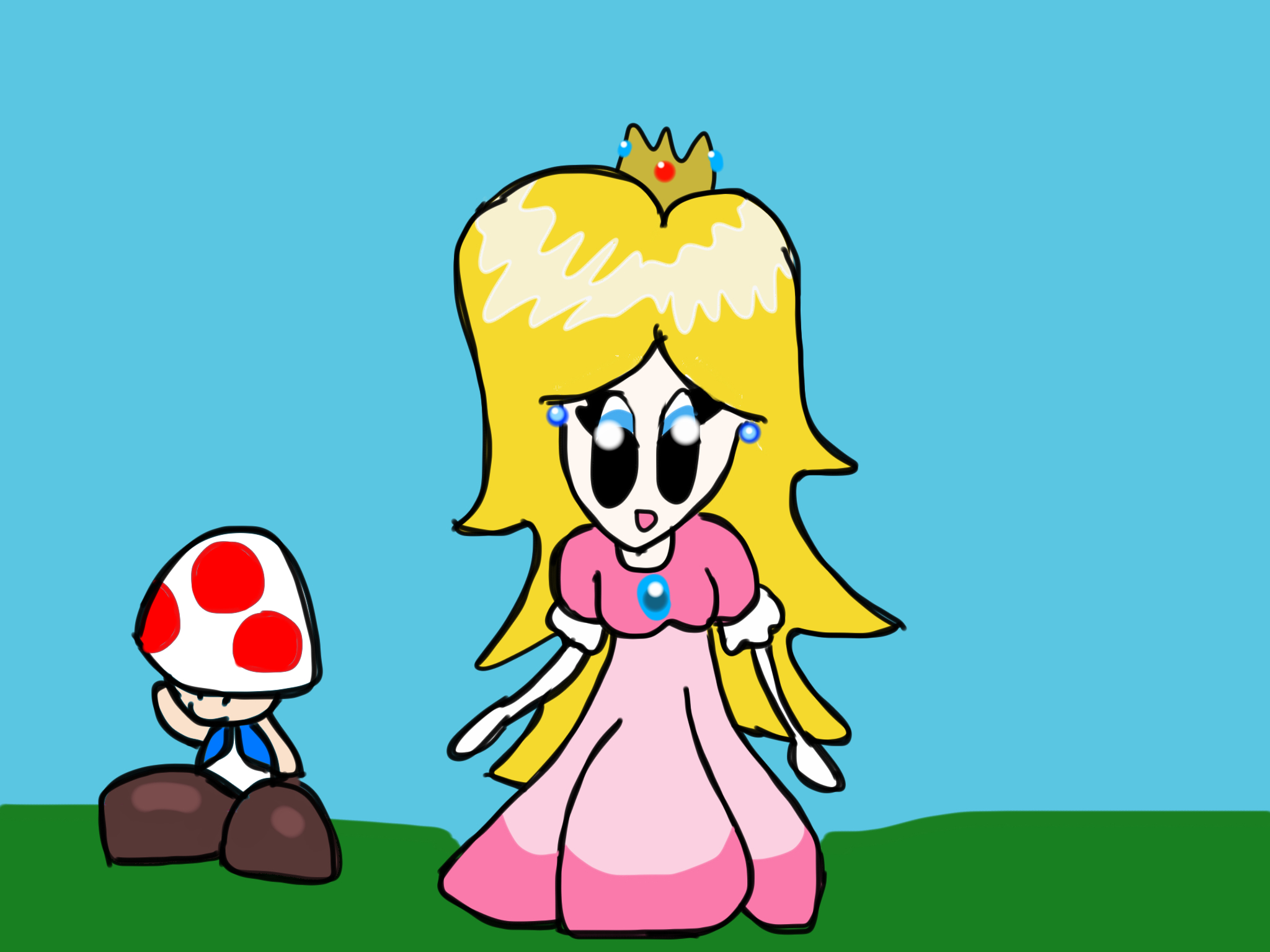 Princess Toad Racing Princess Toadstool and Toad by creecreehoneybees on DeviantArt