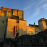 Castle of Loches, France