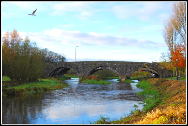 Bridge of Colours