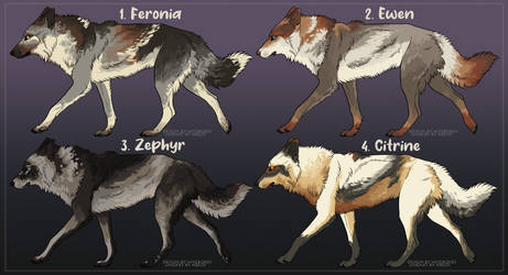 [OPEN] [Wolf Adoptables] [$15 Each]