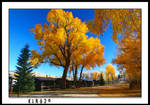 Fall in Beautiful Colorado by KLR620