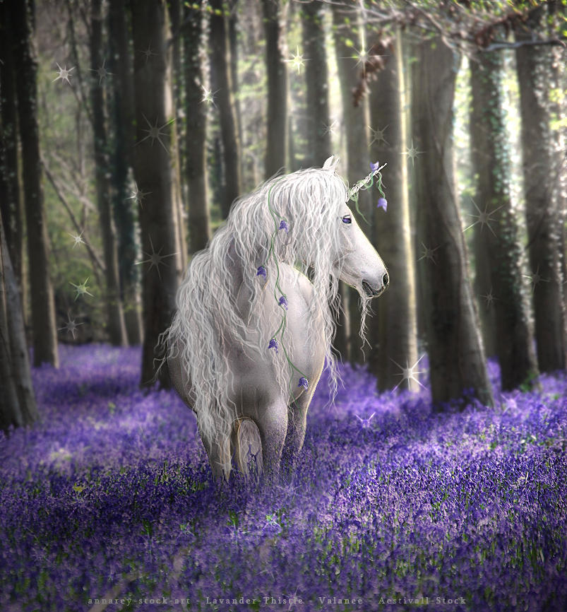 LOOK HOW SHE SPARKLES NEW by Lavander-Thistle LOOK HOW SHE SPARKLES NEW by Lavander-Thistle