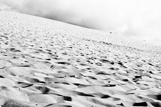 Dune du Pyla