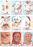 Star Wars Galactic Files Series 2 Sketch Cards 01 by Tyrant-1