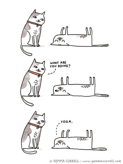 Yoga Kitty