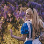 Alice in Wonderland by Tilli Boom Cosplay