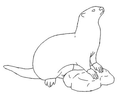 Otter Lineart