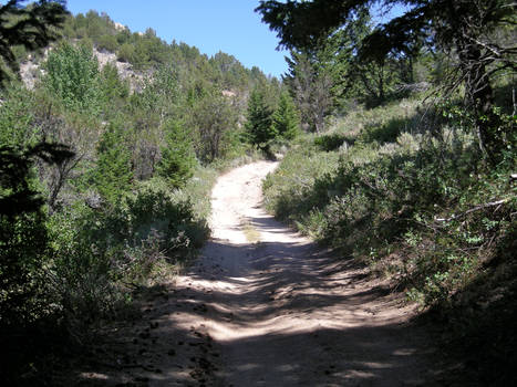 Owyhee Trail