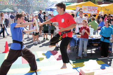 Karate Day at Street Fair 4