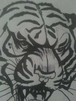 Traditional Tiger.