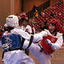 Taekwondo U.S. Open 20
