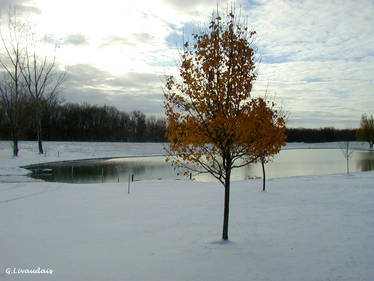 Thanksgiving 2004 - The Pond