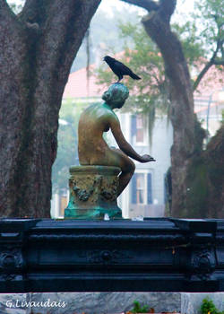 Bird on Butler Fountain