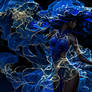 Her Pulse Glowed Through the Dark