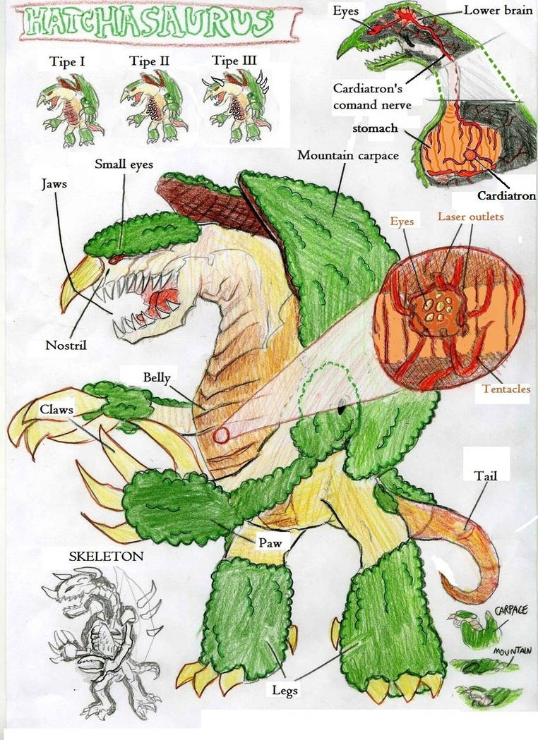 Haruchasaurus Deviantart Hatchasaurus anatomy by killb94 on DeviantArt