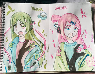 Matcha Ryokucha and Sakura Hanami