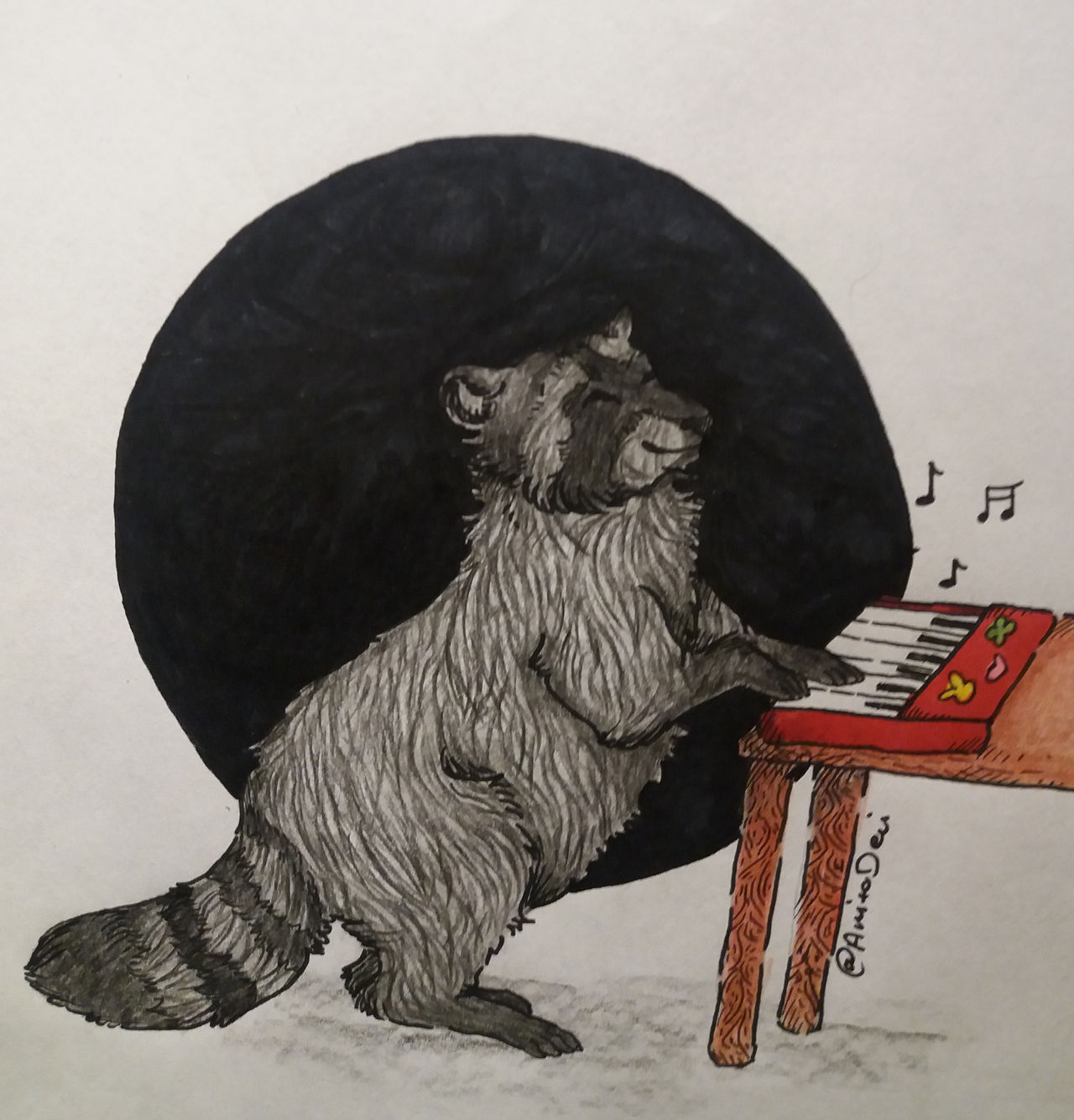 Tuttle Raccoon Raccoon doing tut tut by AnitoDevi on DeviantArt