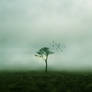 Like Emptiness.