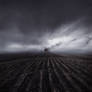 Blighted.