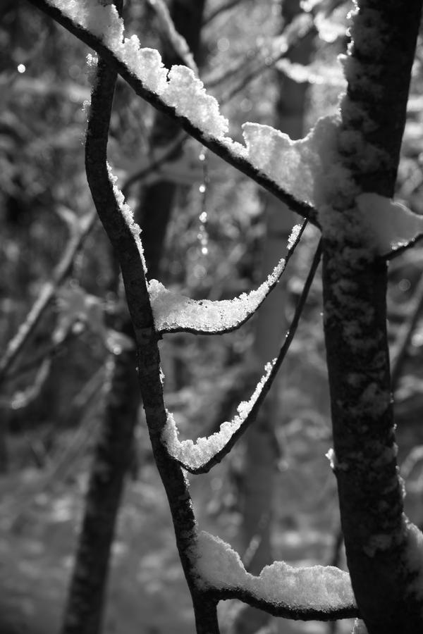 Ice_Rune by astutefish on DeviantArt