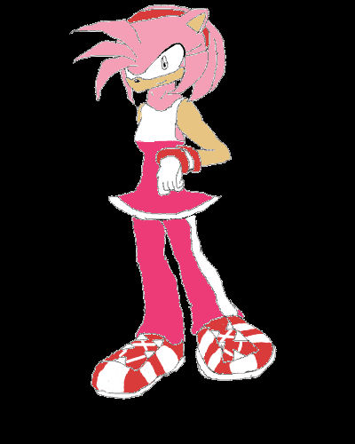 Request - Amy Rose Riders by DrkNite007 on DeviantArt