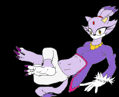 Blaze The Cat's Feet.