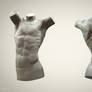 Male Torso Sculpt