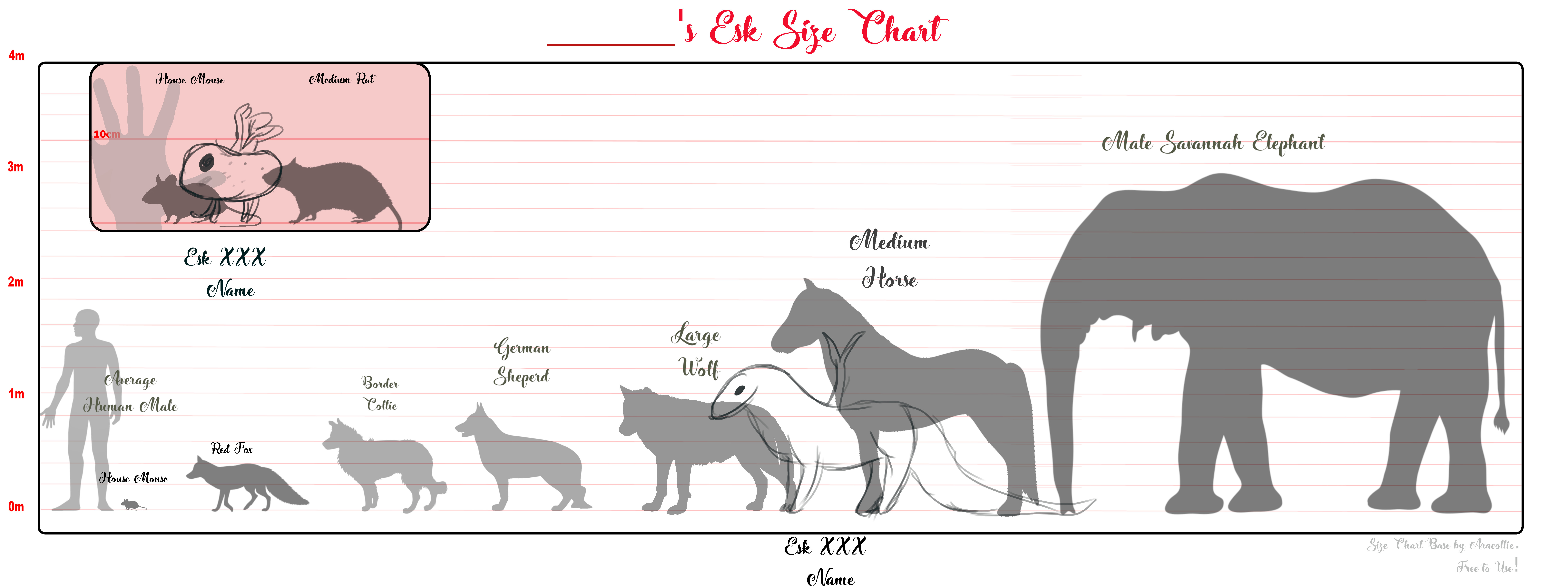 Length Graph Comparing Animals Animal Size Chart