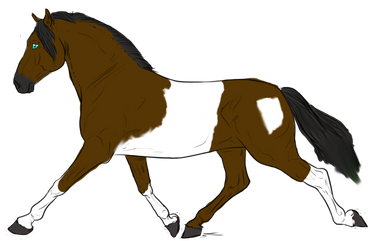 Tinker Horse