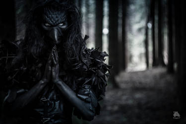 The Raven by Demonrat