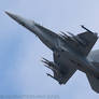 F18 Super Hornet