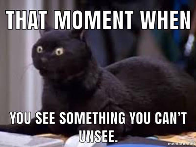 Salem Risa Meme Salem meme by Toa-Mando on DeviantArt