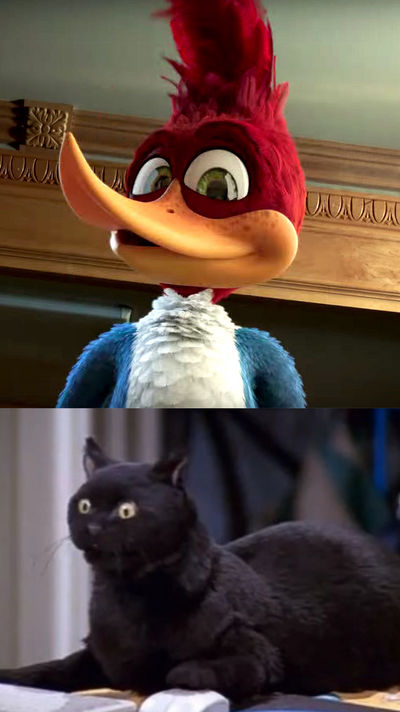 Salems reaction to Woody Woodpecker