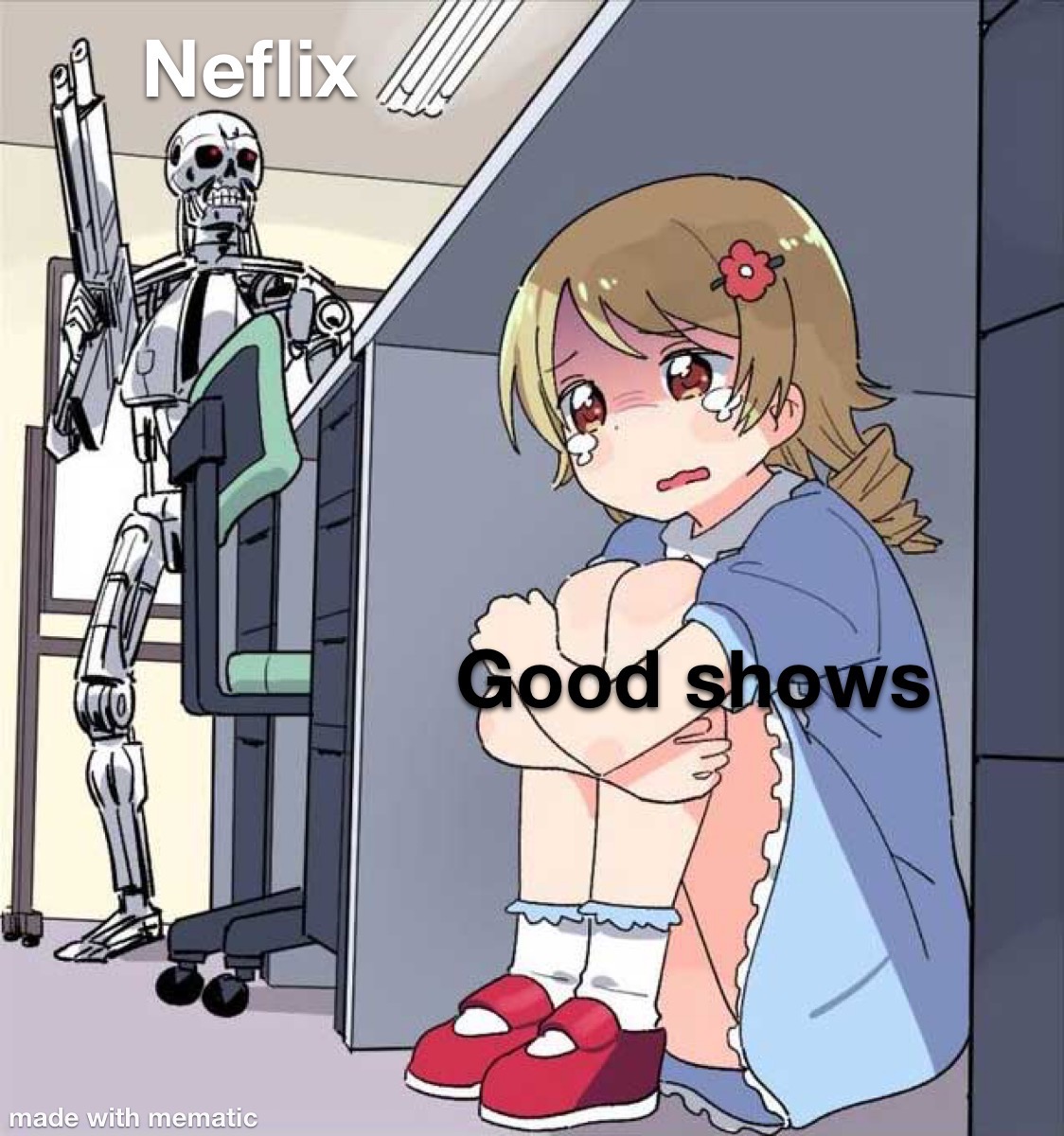 Netflix in a nutshell