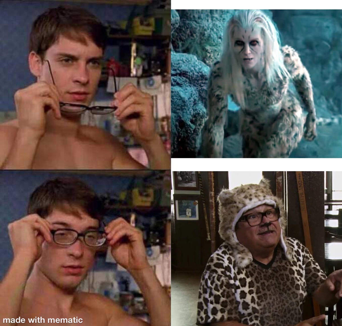 Two cheetahs