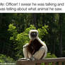 Zoboomafoo Meme