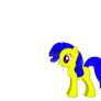 NEON PONY