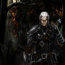 Geralt, the white wolf