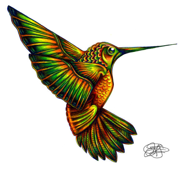 Hummingbird of the Nile