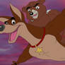 Bob and thunder flying to the rescue
