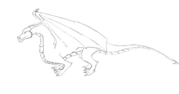 Basic Dragon by DragonQween on DeviantArt