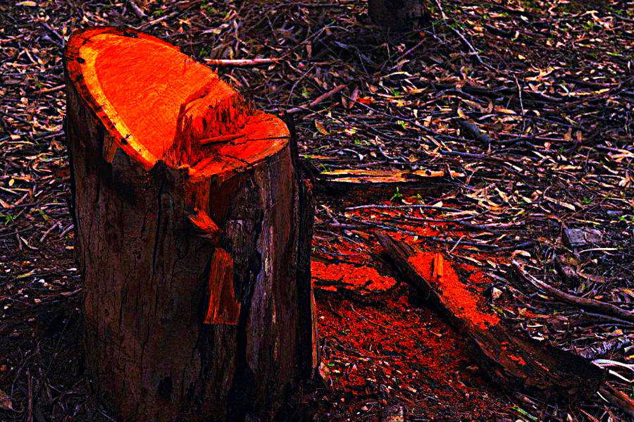 Bloded Tree Bleeding tree. by Unwhole on DeviantArt