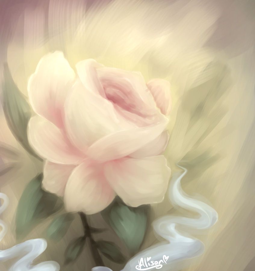 Rosa.. by Megamagenta on DeviantArt