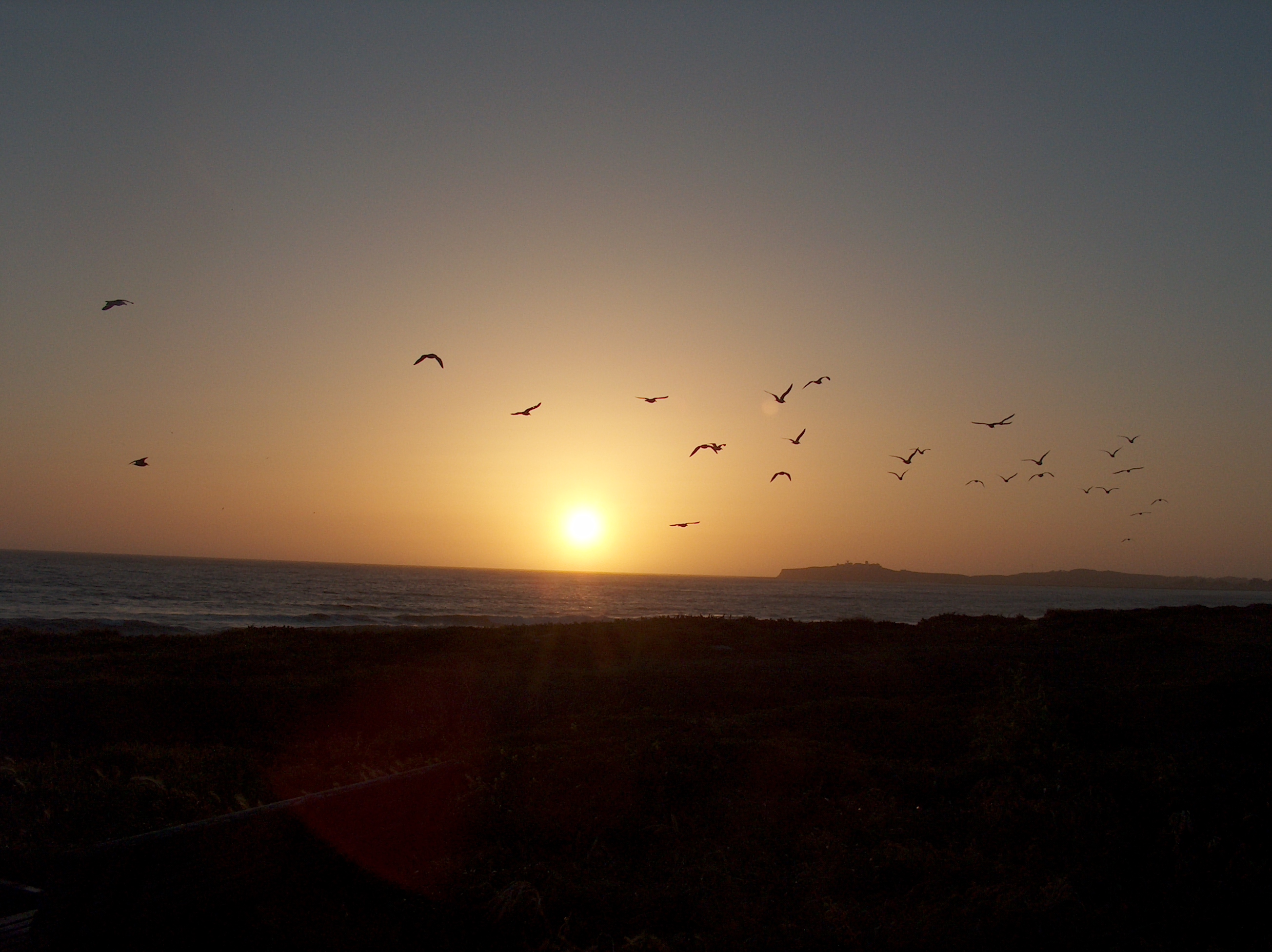 Half Moon Bay 420Earthday4