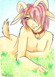 ACEO Nr.024 Luka by Project-Drow