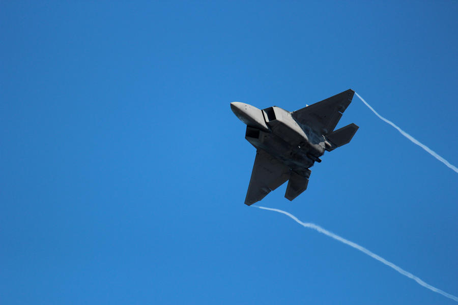 F-22 Raptor 2