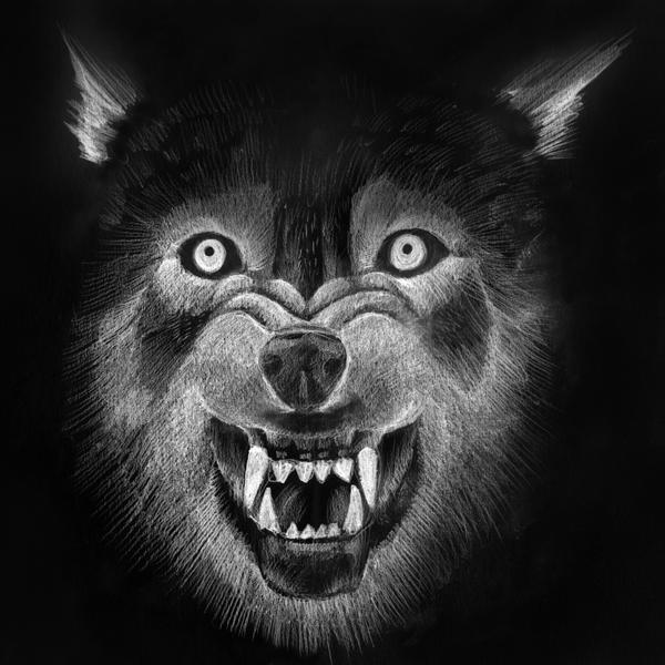 Wolf Reverse Split Wolf (inverted) by Zwerg-im-Bikini on DeviantArt