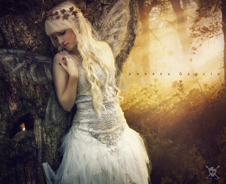 The Magic of Nature by AndyGarcia666 The Magic of Nature by AndyGarcia666
