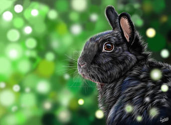 bunny, digital painting by LeontinevanVliet